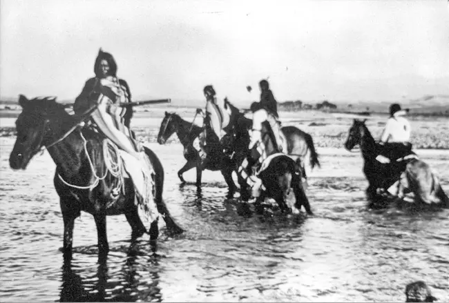 The Utes